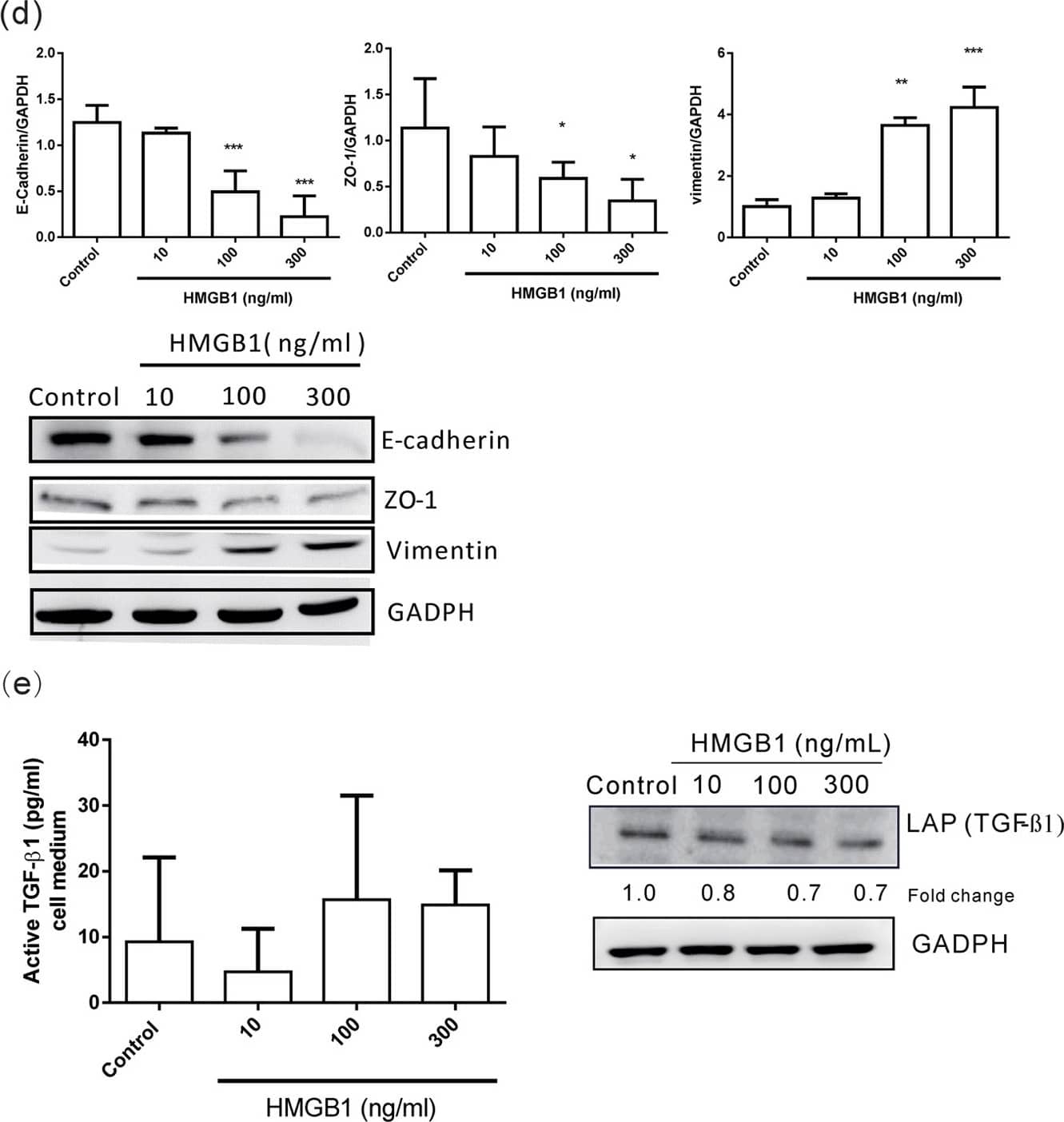 GAPDH Antibody (1D4)