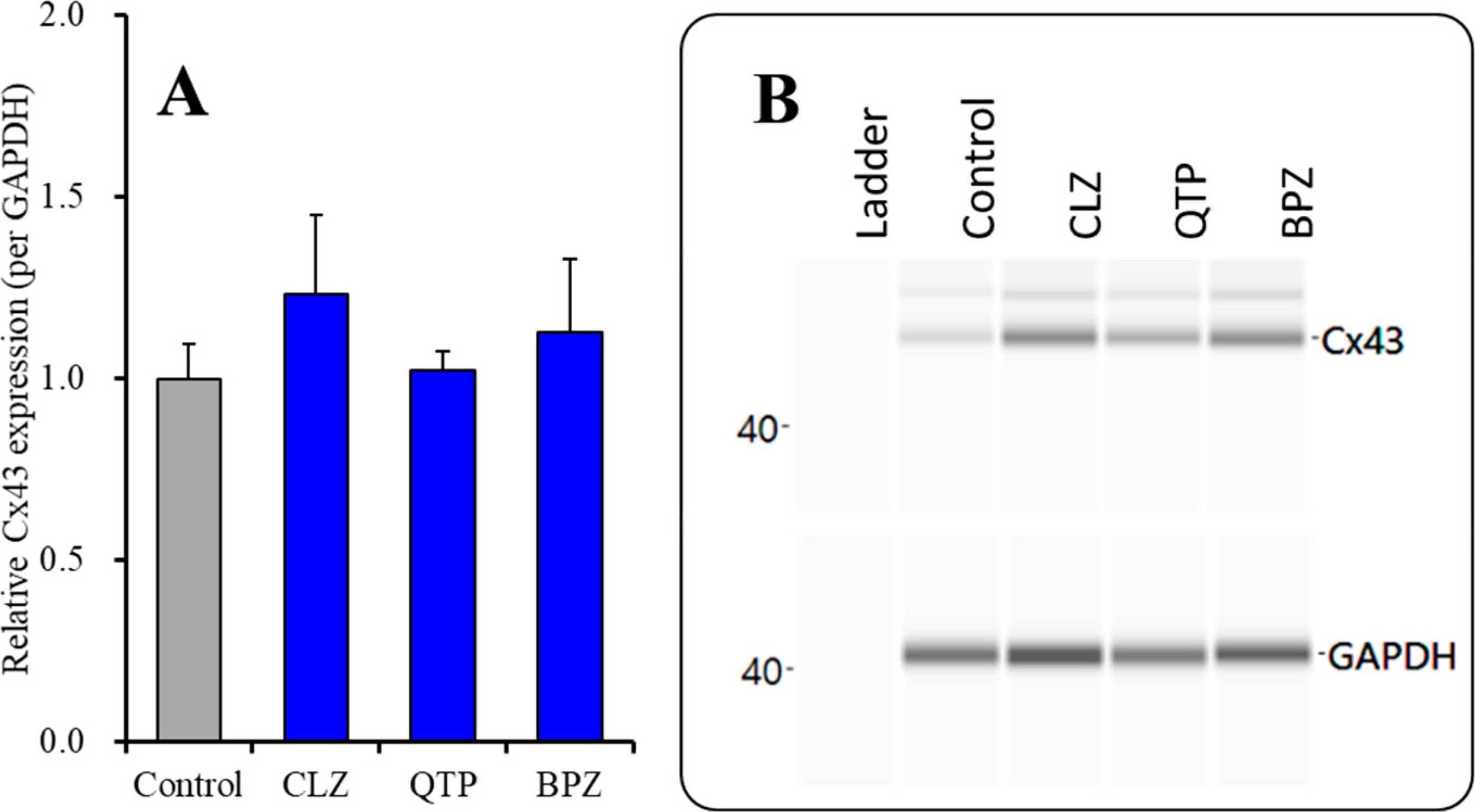 GAPDH Antibody