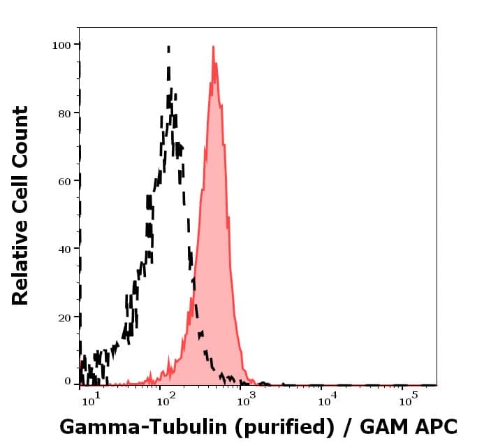 gamma Tubulin Antibody (TU-30) - BSA Free Western Blot: gamma Tubulin Antibody (TU-30) - BSA Free [NB500-574]