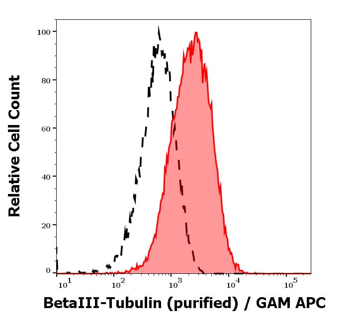 beta-III Tubulin Antibody (TU-20) - BSA Free Immunohistochemistry-Paraffin: beta-III Tubulin Antibody (TU-20) - BSA Free [NB600-1018]