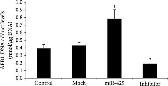 Aflatoxin B1 Antibody (6A10) - BSA Free