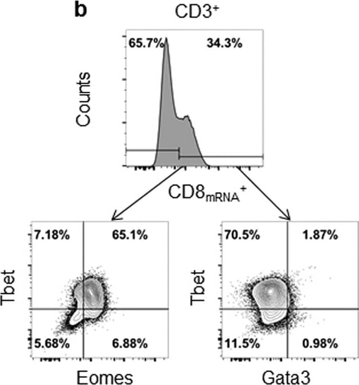 Goat anti-Bat IgG (H+L) Secondary Antibody