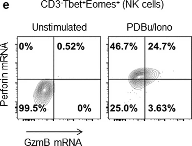 Goat anti-Bat IgG (H+L) Secondary Antibody