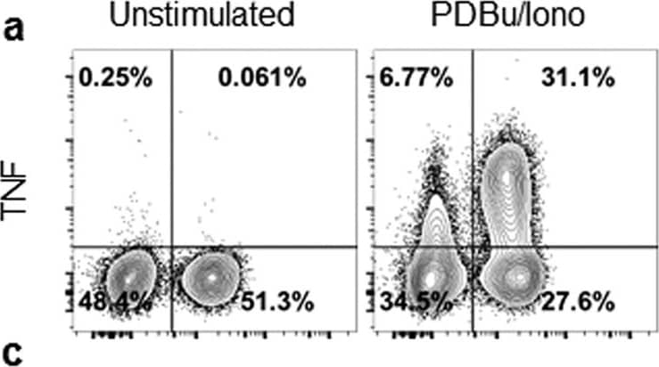 Goat anti-Bat IgG (H+L) Secondary Antibody