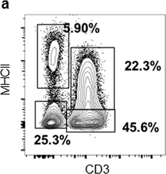 Goat anti-Bat IgG (H+L) Secondary Antibody