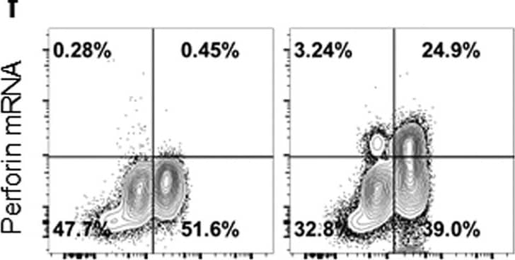 Goat anti-Bat IgG (H+L) Secondary Antibody
