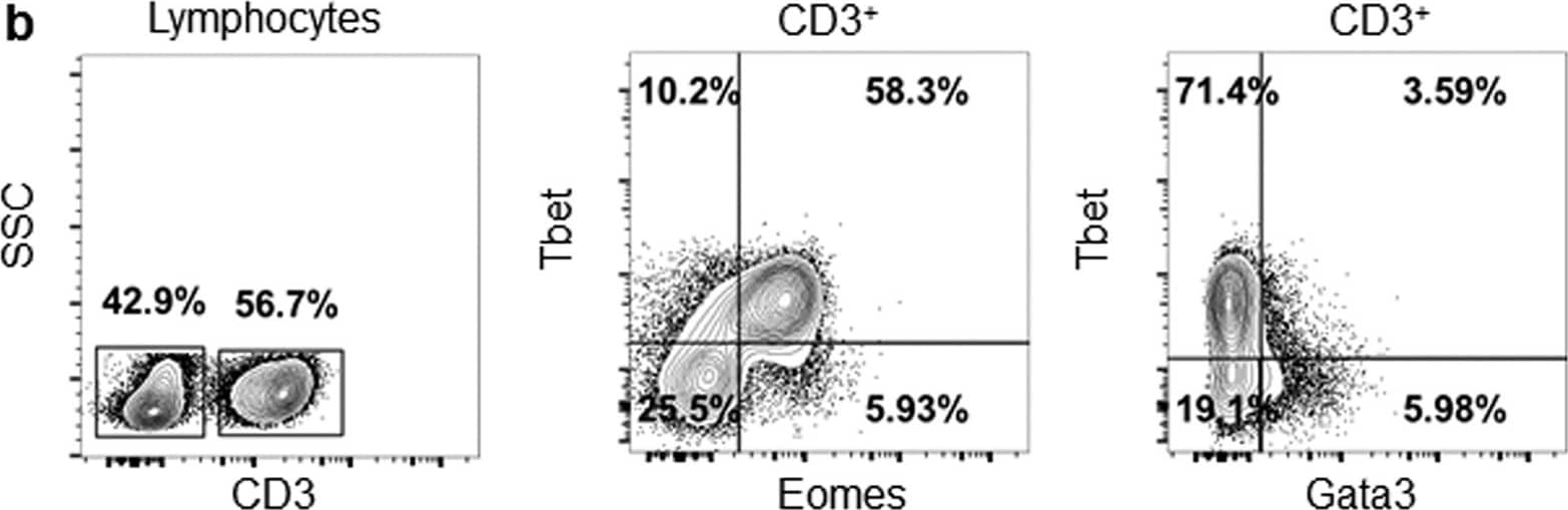 Goat anti-Bat IgG (H+L) Secondary Antibody