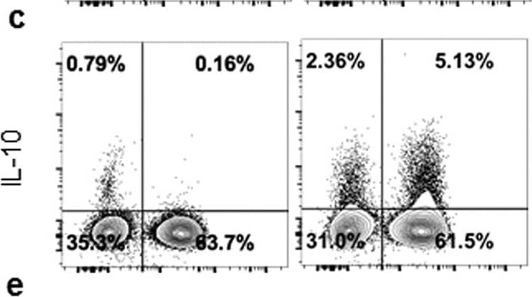 Goat anti-Bat IgG (H+L) Secondary Antibody