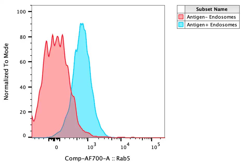 Rab5a Antibody (3A4) [Alexa Fluor® 700]