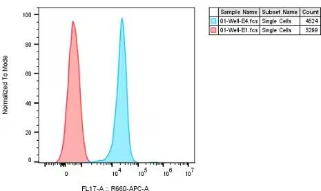 Dectin-1/CLEC7A Antibody (BD6) [Alexa Fluor® 647]