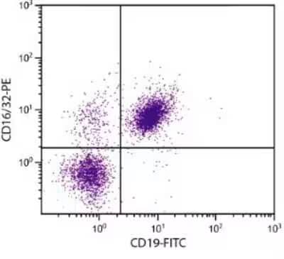 CD16/CD32 Antibody (93) - Azide and BSA Free