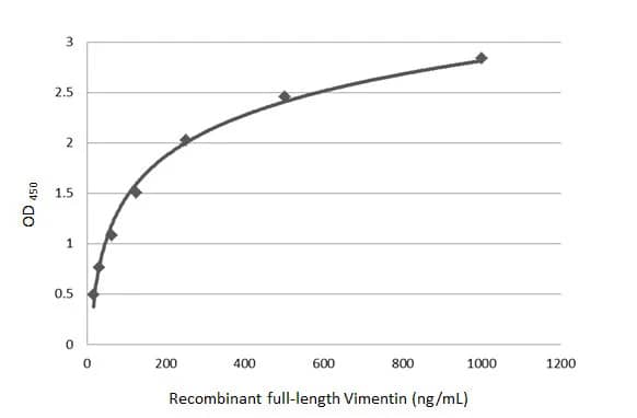 Vimentin Antibody