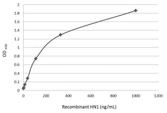 HN1 Antibody - BSA Free