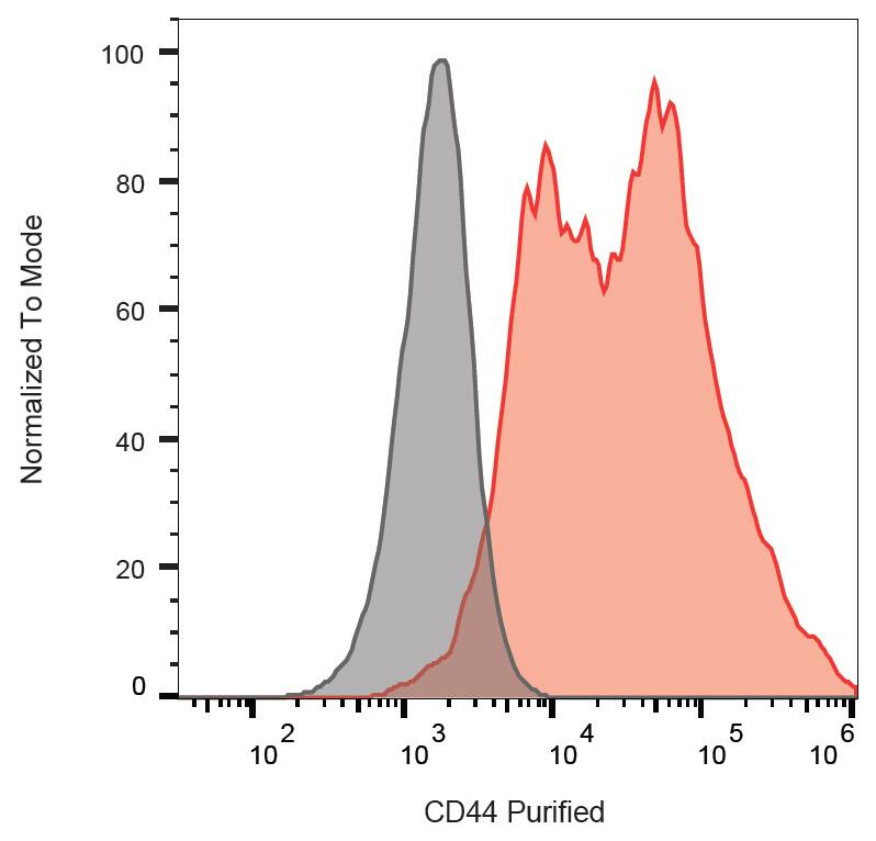 CD44 Antibody (IM7) - BSA Free Western Blot: CD44 Antibody (IM7) - BSA Free [NBP1-41266]