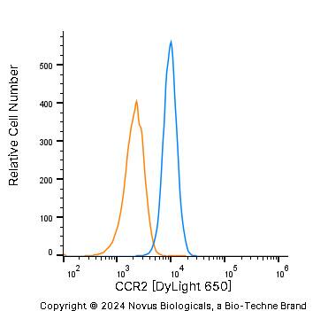 CCR2 Antibody [DyLight 650]