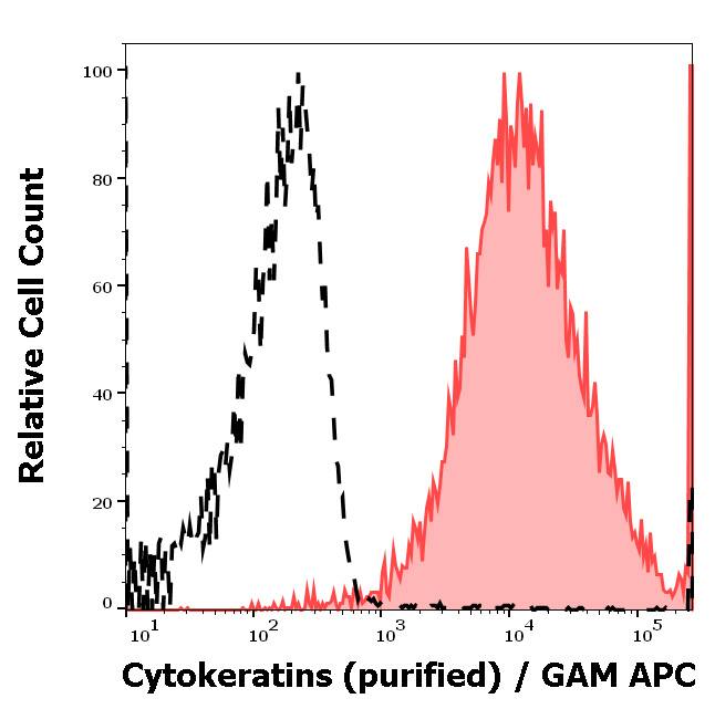Cytokeratin, pan Antibody (C-11) - BSA Free Western Blot: Cytokeratin, pan Antibody (C-11) - BSA Free [NBP1-48348]