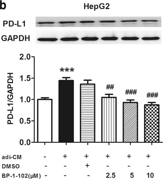 PD-L1 Antibody - BSA Free