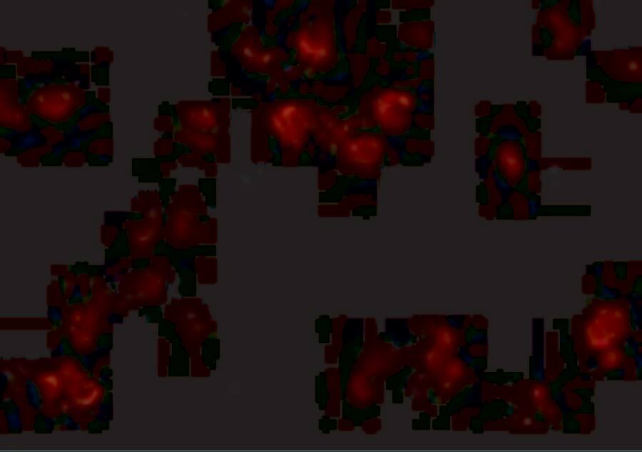 CD81 Antibody - BSA Free