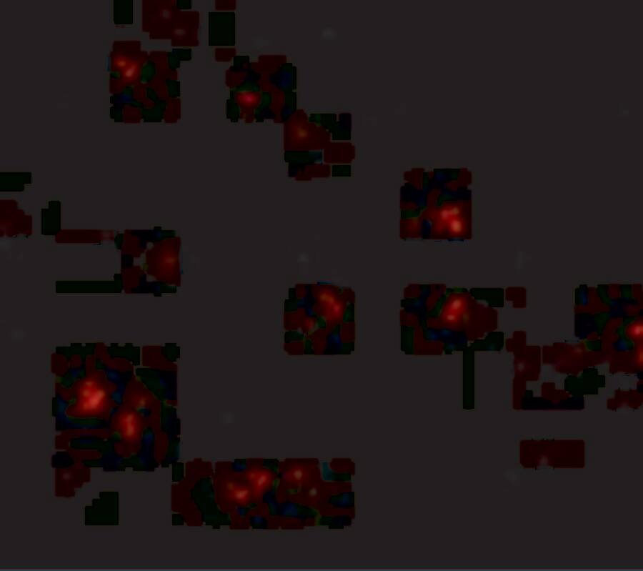 Lass5 Antibody - BSA Free
