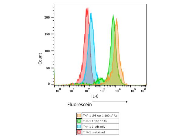 IL-6 Antibody - Azide and BSA Free