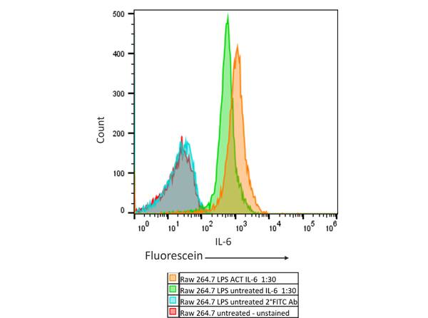 IL-6 Antibody - Azide and BSA Free