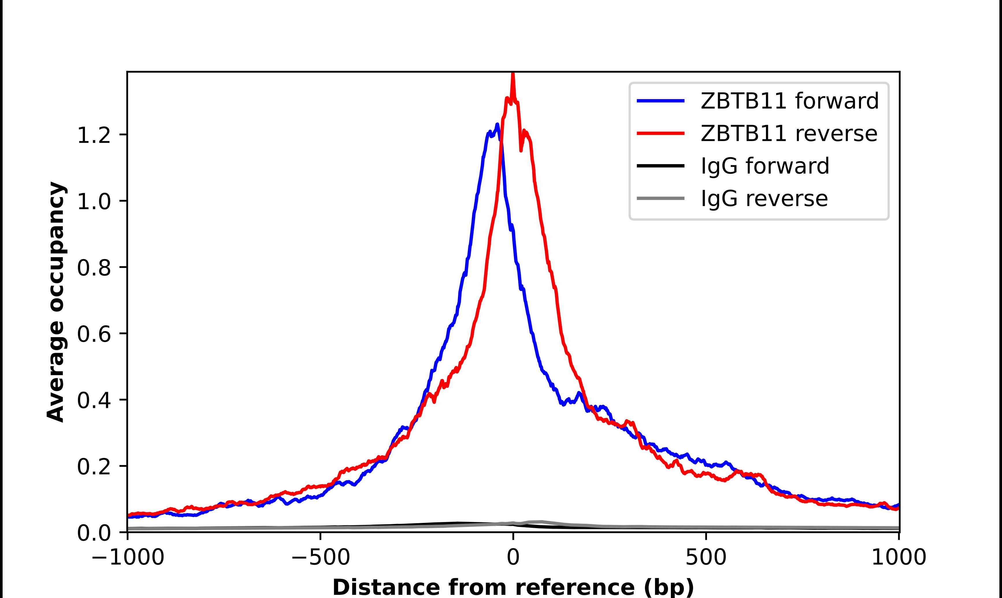 ZBTB11 Antibody - BSA Free Chromatin Immunoprecipitation-exo-Seq: ZBTB11 Antibody - BSA Free [NBP1-80580]
