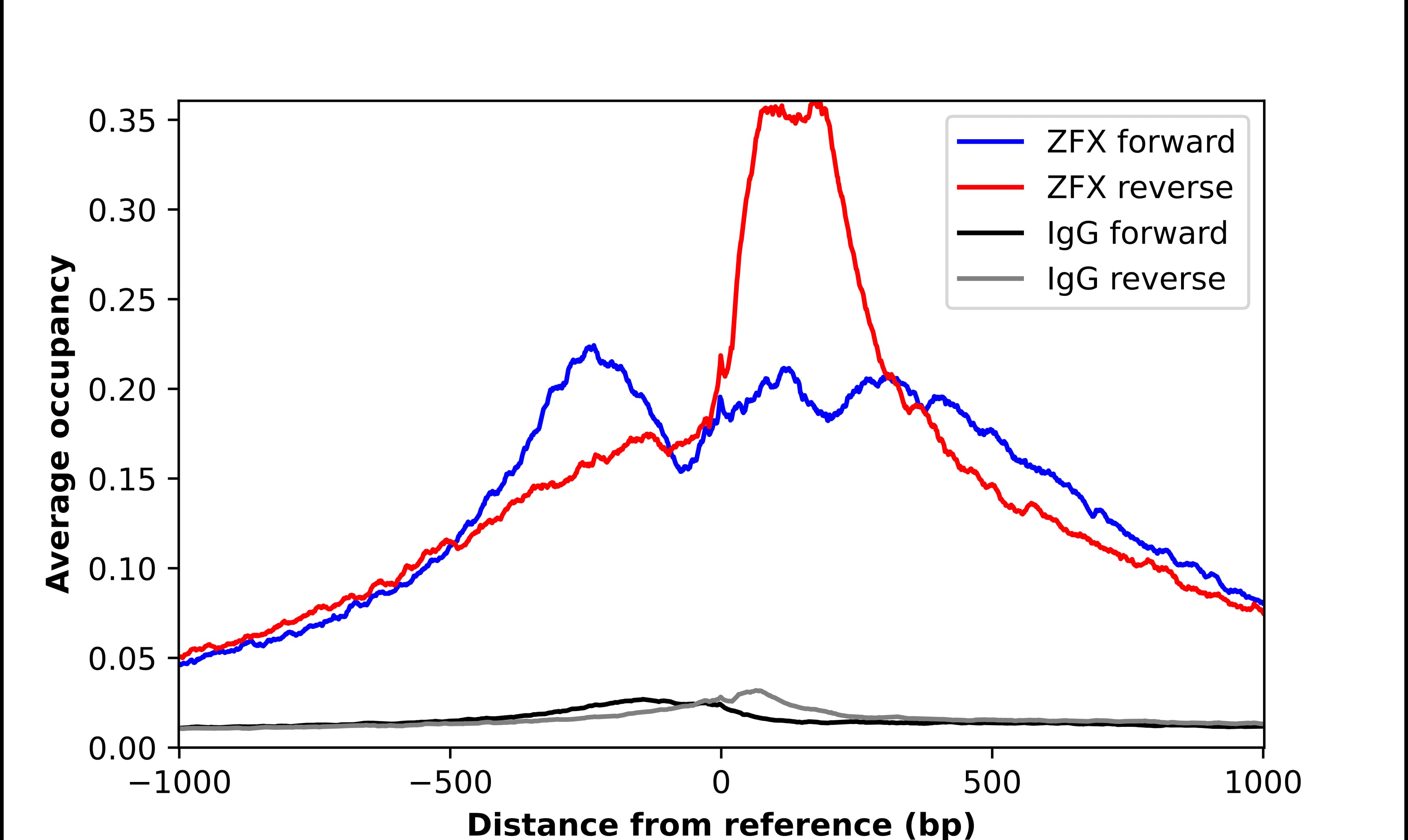ZFX Antibody - BSA Free Chromatin Immunoprecipitation-exo-Seq: ZFX Antibody - BSA Free [NBP1-80582]