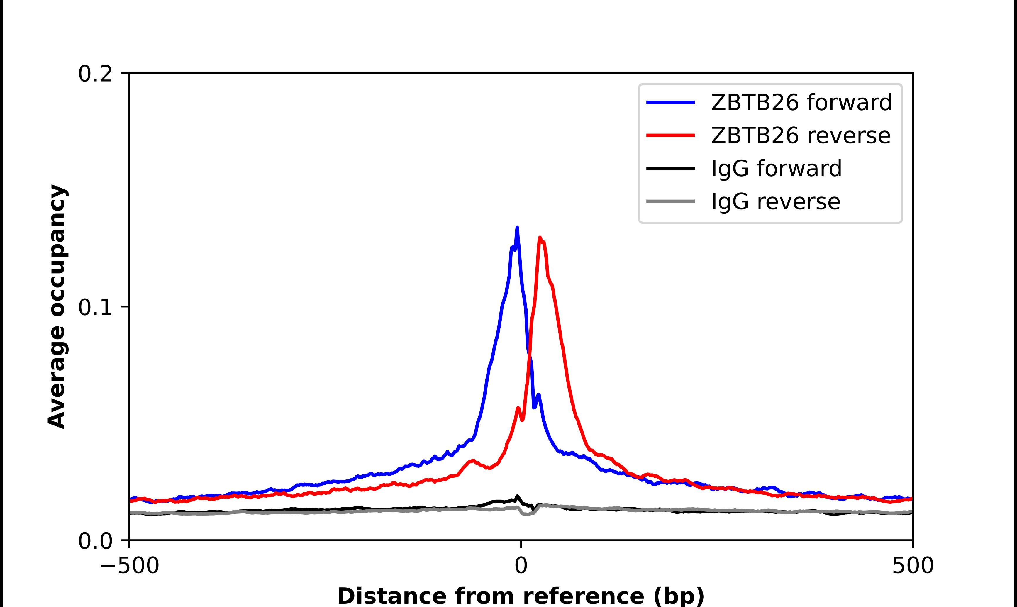 ZBTB26 Antibody - BSA Free Chromatin Immunoprecipitation ChIP: ZBTB26 Antibody - BSA Free