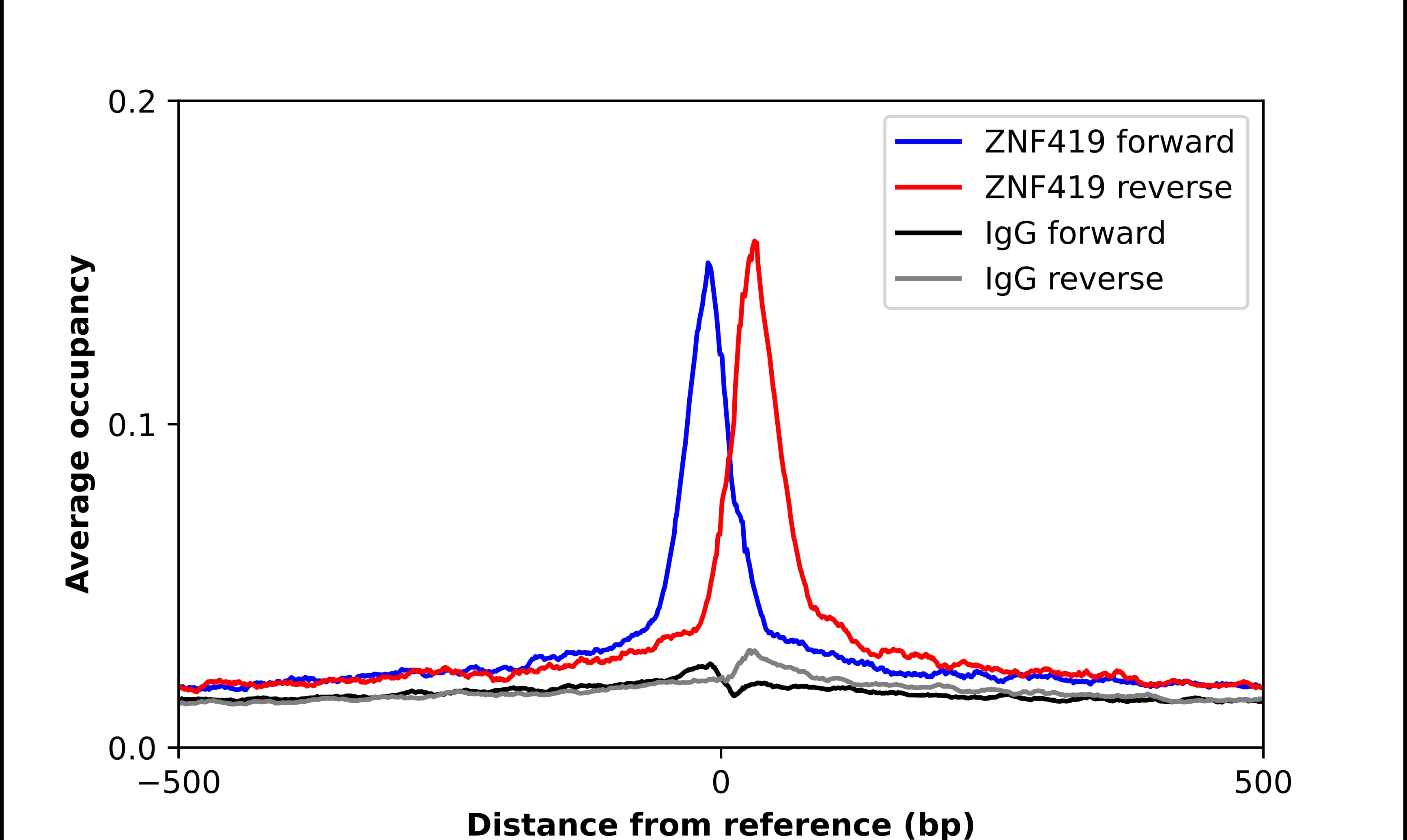 ZNF419A Antibody - BSA Free Chromatin Immunoprecipitation ChIP: ZNF419A Antibody - BSA Free
