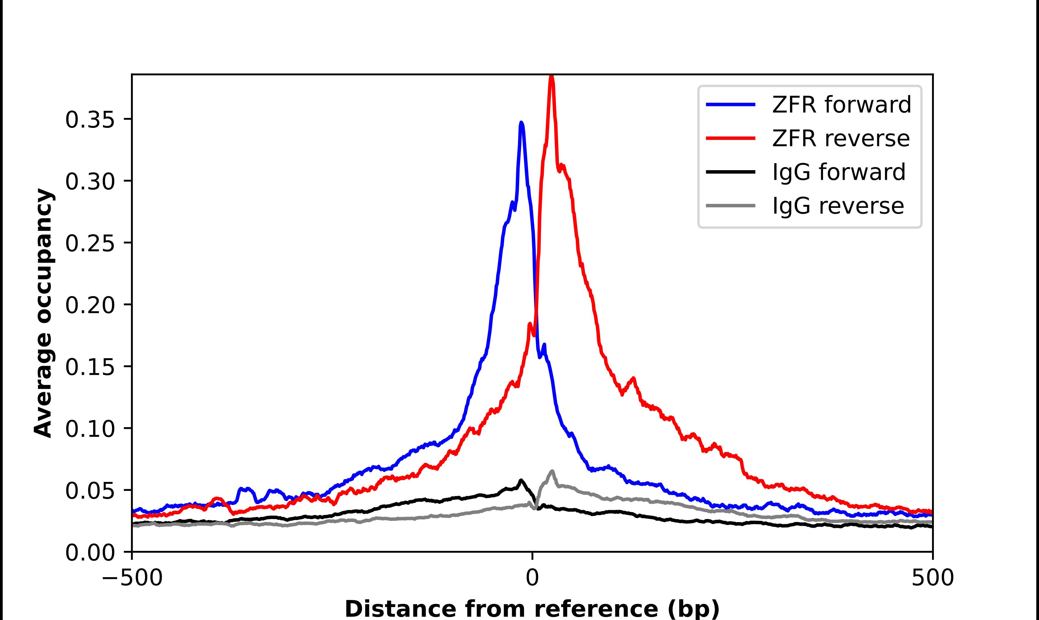 ZFR Antibody - BSA Free Chromatin Immunoprecipitation ChIP: ZFR Antibody - BSA Free