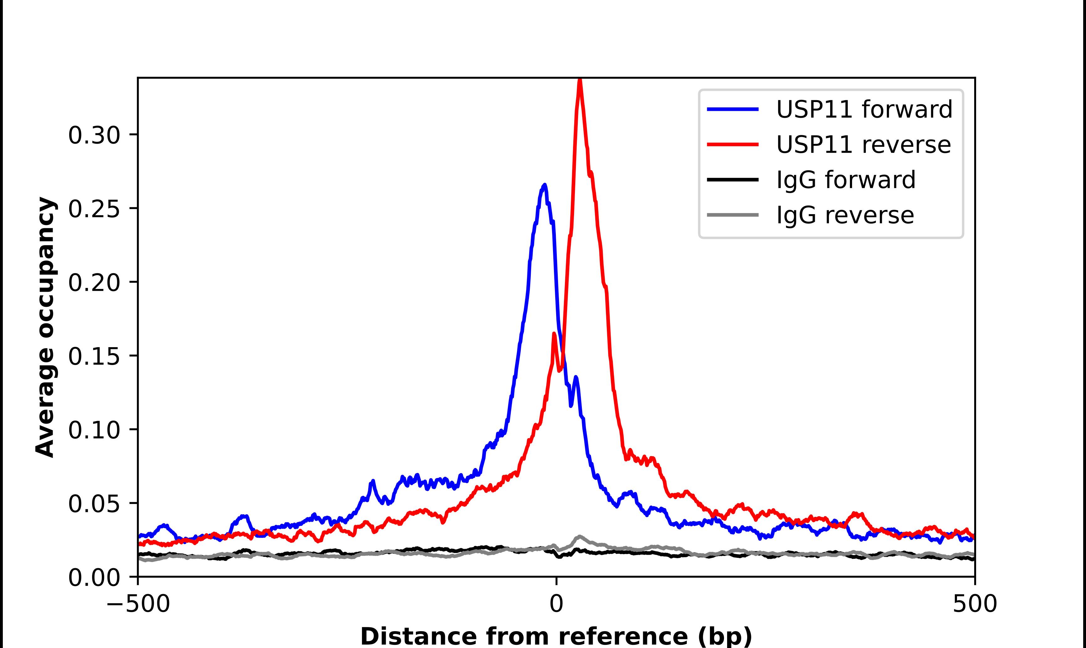 USP11 Antibody - BSA Free Chromatin Immunoprecipitation-exo-Seq: USP11 Antibody - BSA Free [NBP1-80639]
