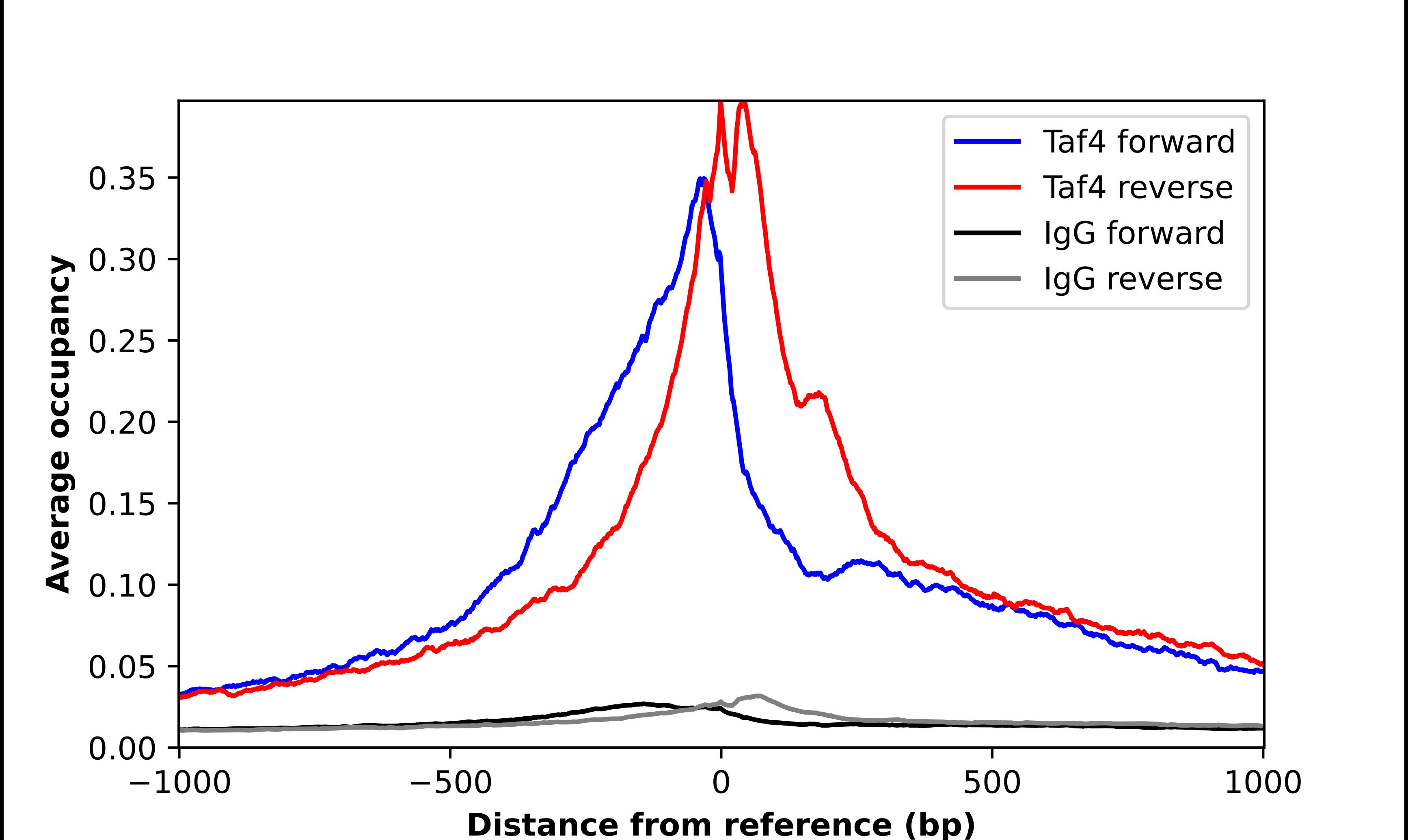 Taf4 Antibody - BSA Free Chromatin Immunoprecipitation-exo-Seq: Taf4 Antibody - BSA Free [NBP1-80705]