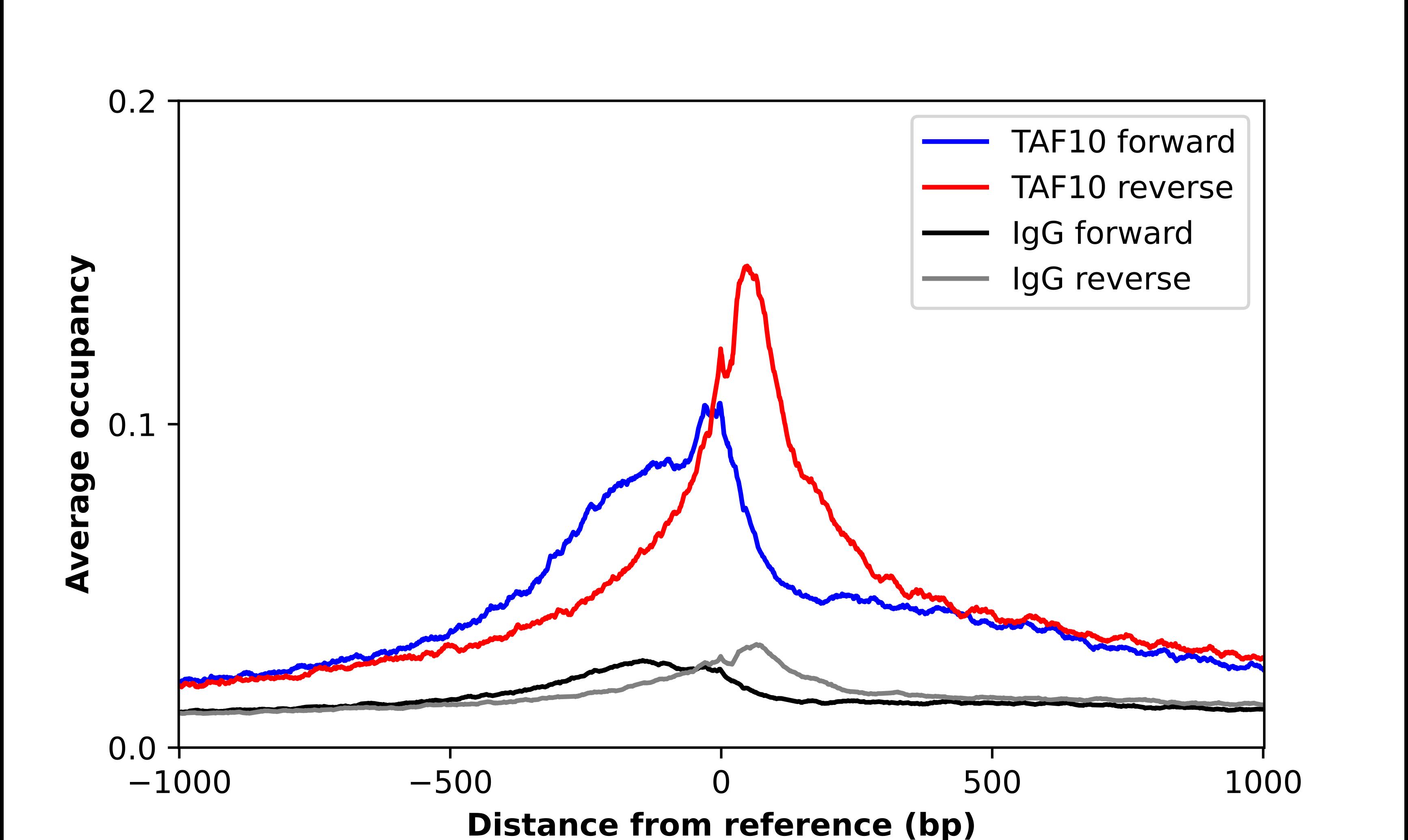 TAF10 Antibody - BSA Free Chromatin Immunoprecipitation-exo-Seq: TAF10 Antibody - BSA Free [NBP1-80706]