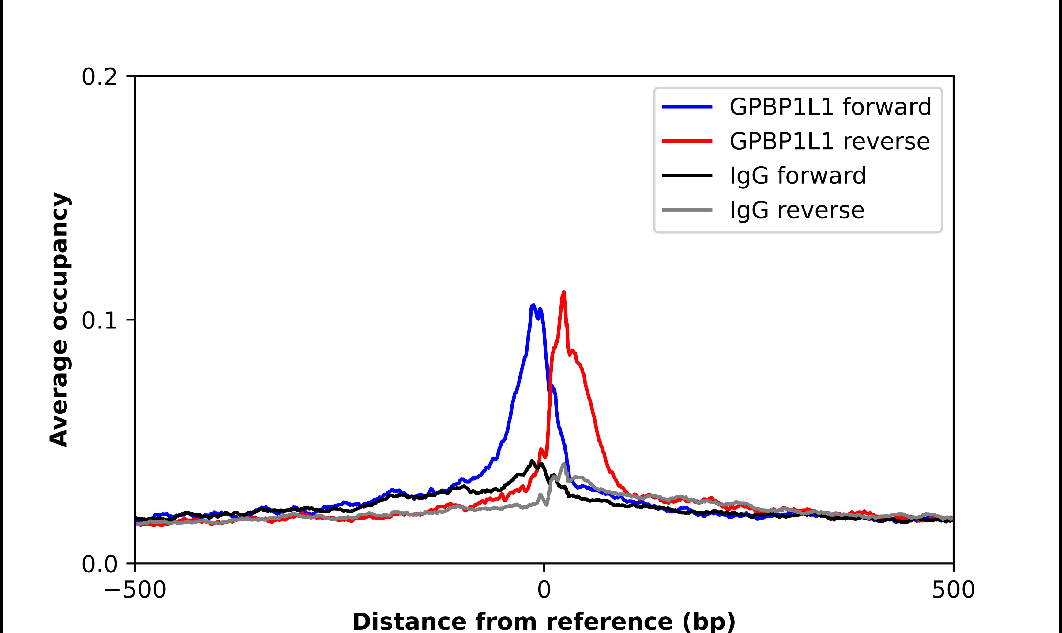 GPBP1L1 Antibody - BSA Free Chromatin Immunoprecipitation ChIP: GPBP1L1 Antibody - BSA Free