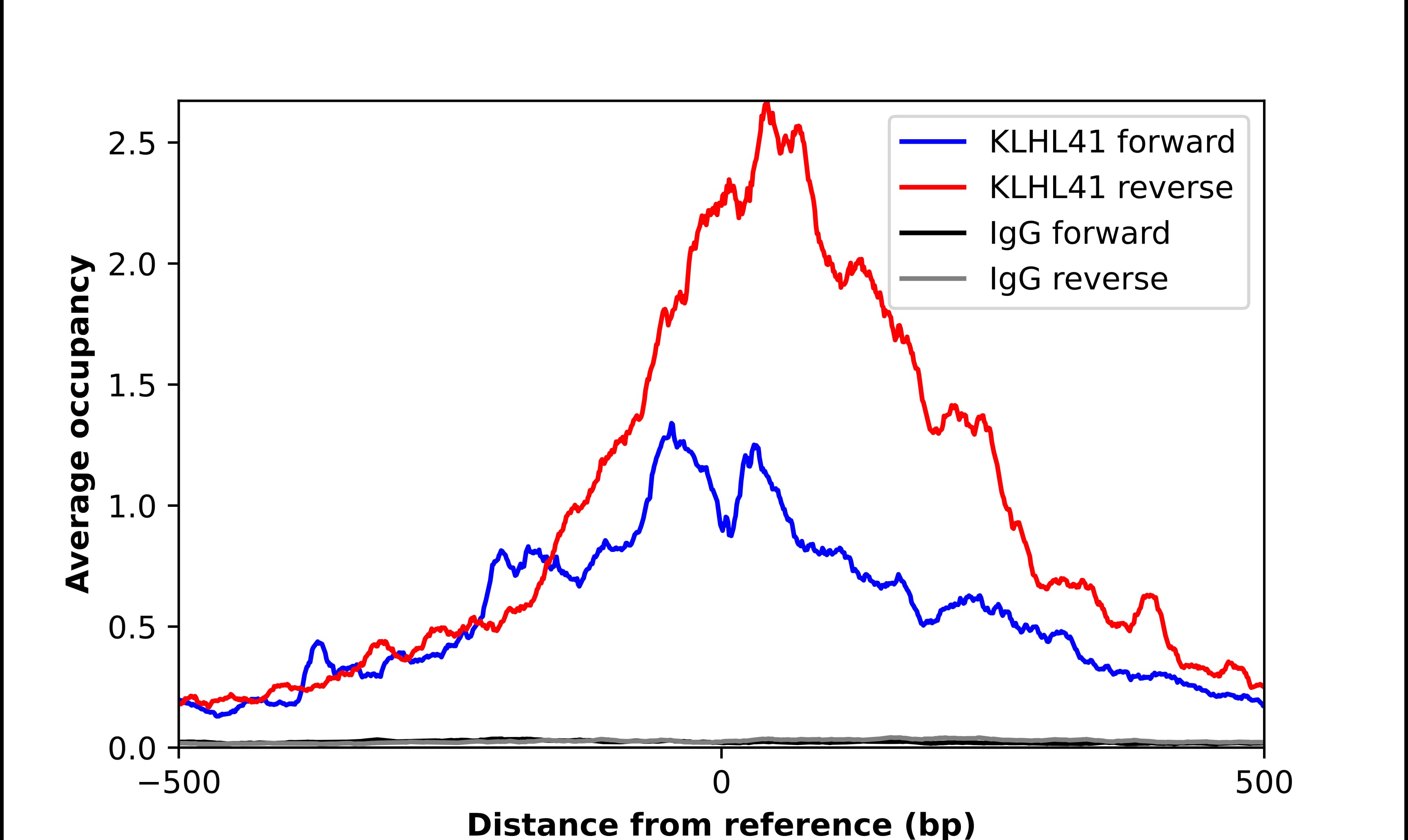 KBTBD10 Antibody - BSA Free Chromatin Immunoprecipitation ChIP: KBTBD10 Antibody - BSA Free