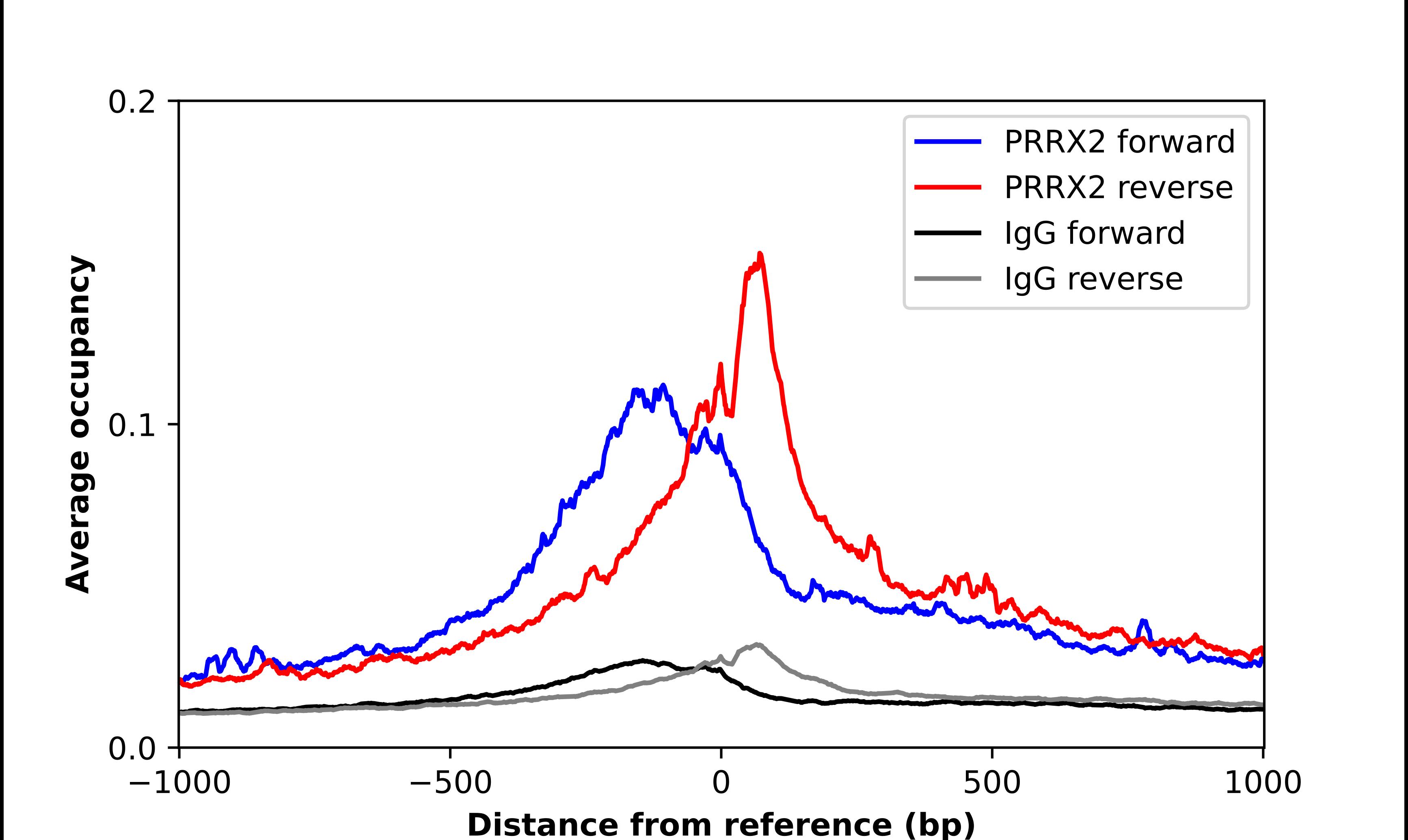PRRX2 Antibody - BSA Free Chromatin Immunoprecipitation-exo-Seq: PRRX2 Antibody - BSA Free [NBP1-80893]