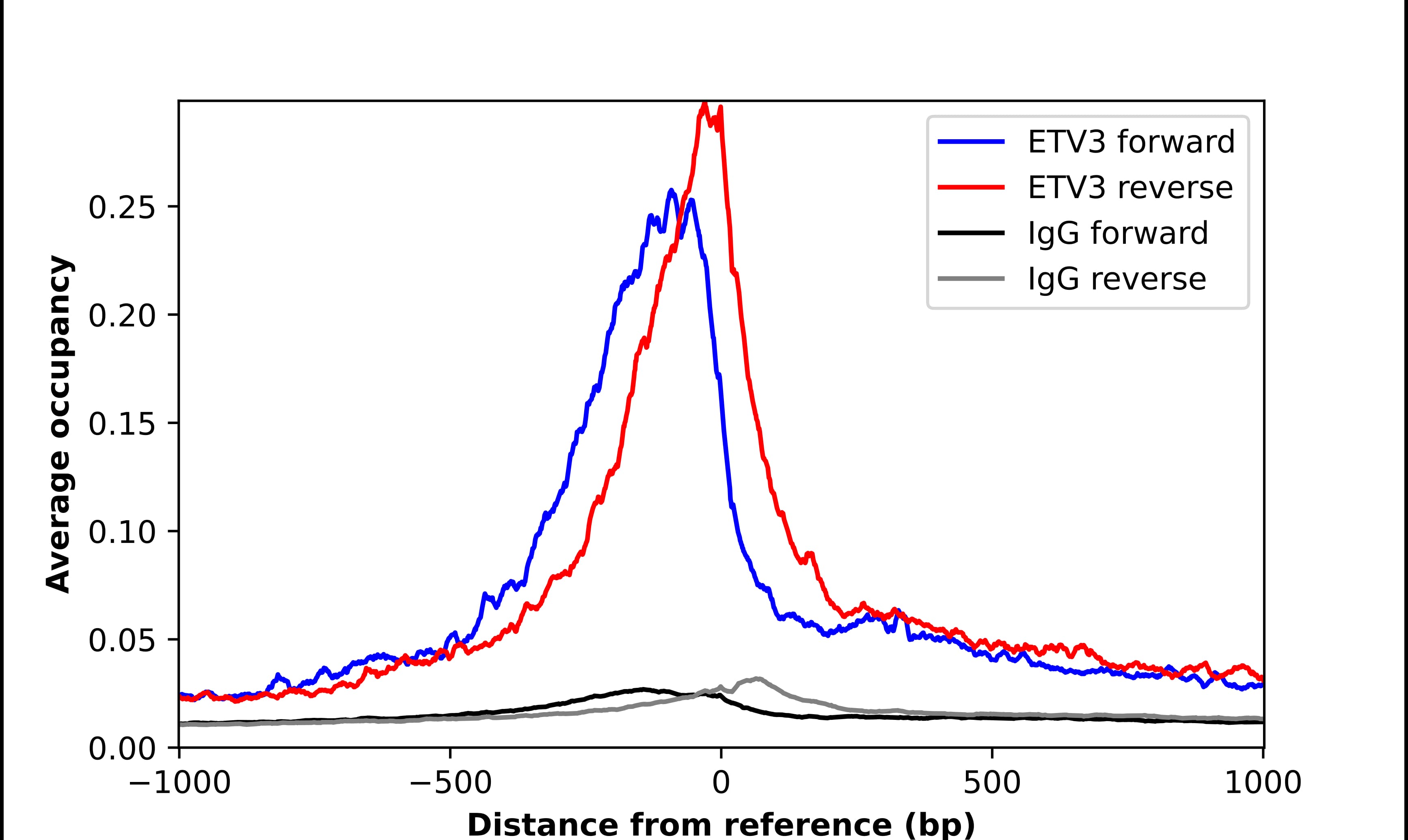 ETV3 Antibody - BSA Free Chromatin Immunoprecipitation-exo-Seq: ETV3 Antibody - BSA Free [NBP1-80931]