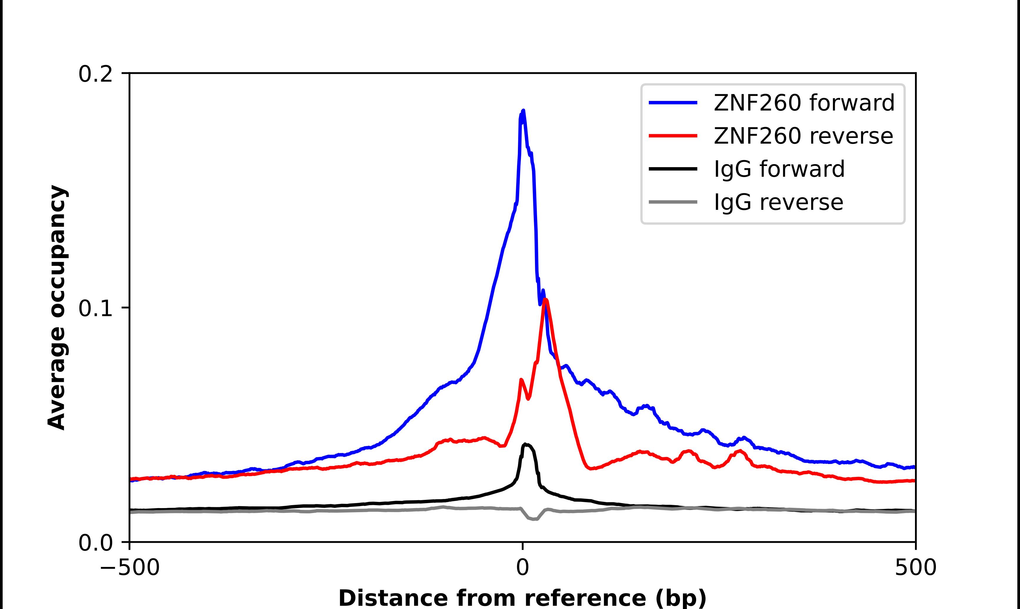 ZNF260 Antibody - BSA Free Chromatin Immunoprecipitation-exo-Seq: ZNF260 Antibody - BSA Free [NBP1-80967]
