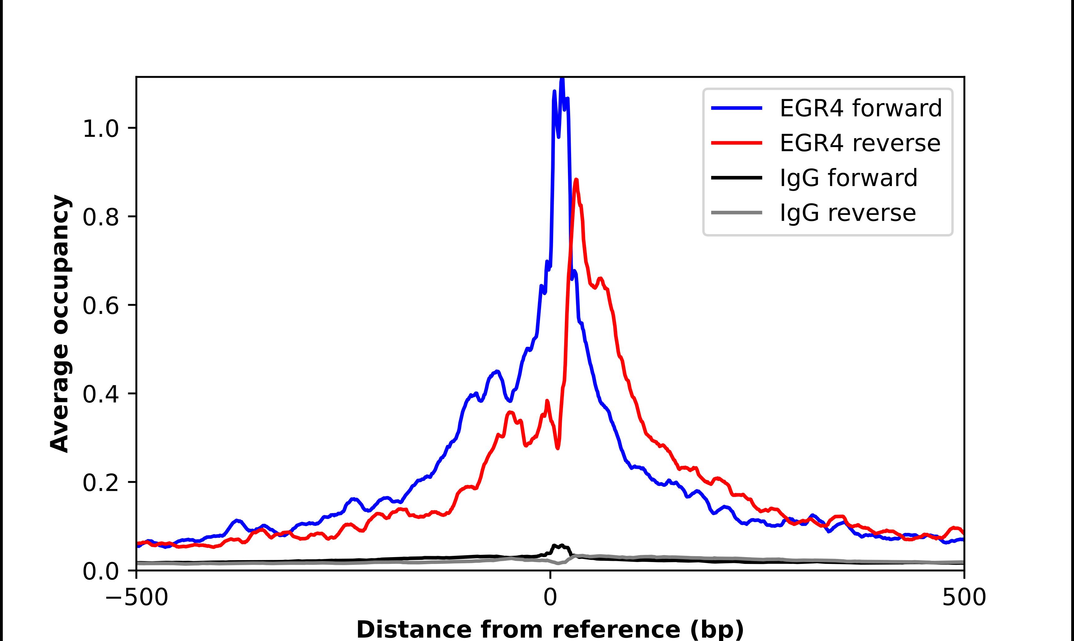 EGR4 Antibody - BSA Free Chromatin Immunoprecipitation ChIP: EGR4 Antibody - BSA Free