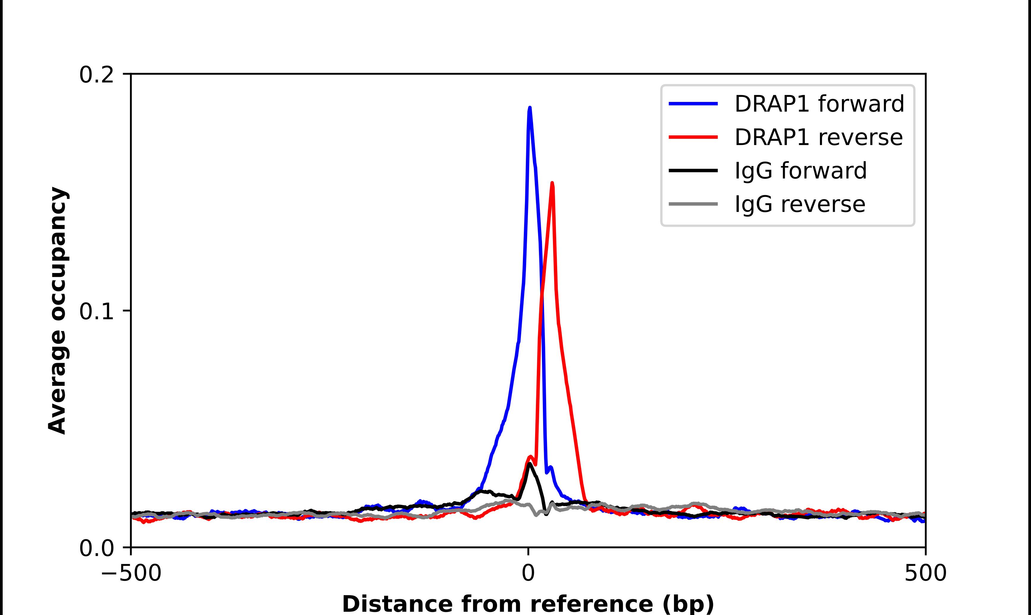 DRAP1 Antibody - BSA Free Chromatin Immunoprecipitation-exo-Seq: DRAP1 Antibody - BSA Free [NBP1-81008]