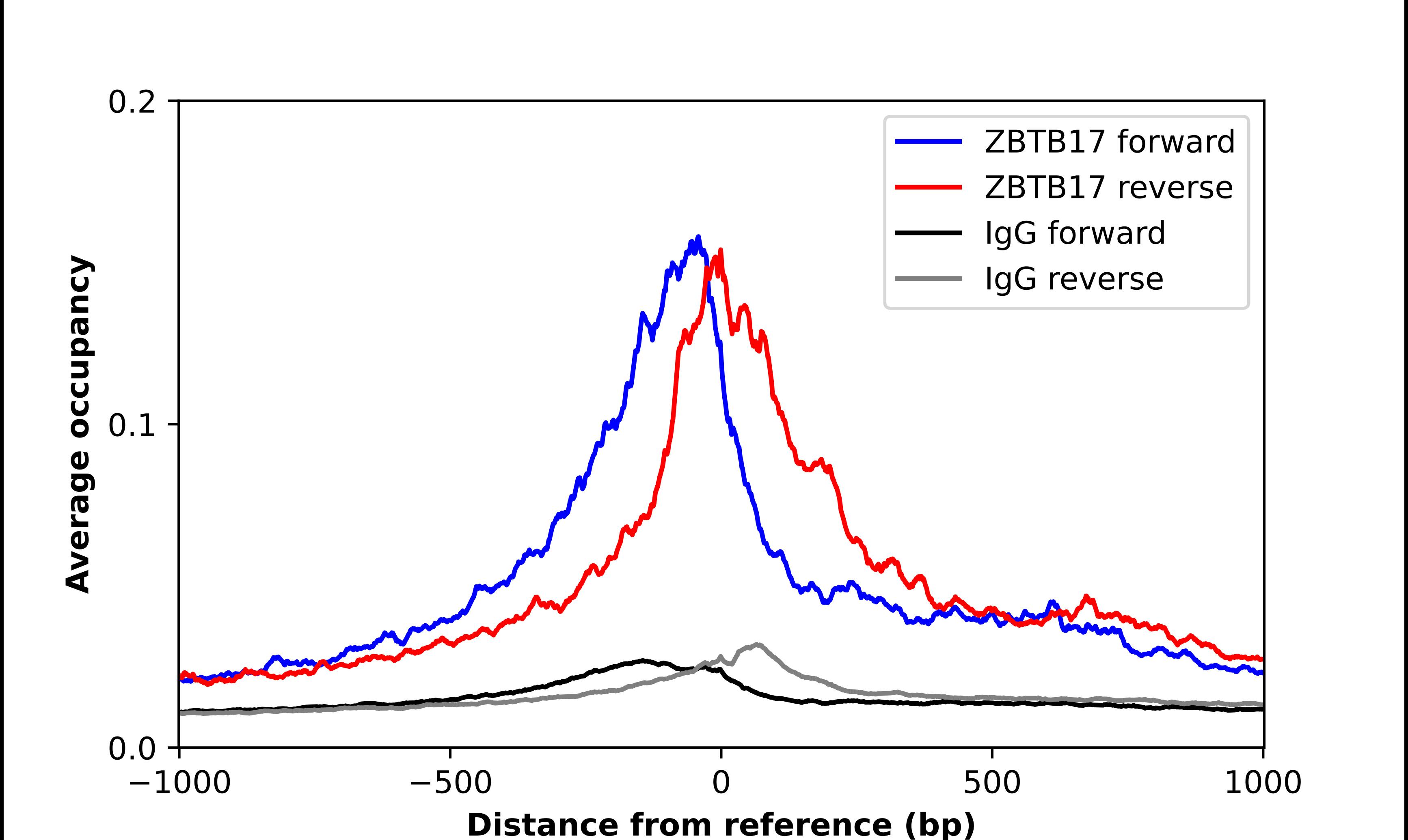 Miz-1/ZBTB17 Antibody - BSA Free Chromatin Immunoprecipitation-exo-Seq: Miz-1/ZBTB17 Antibody - BSA Free [NBP1-81048]