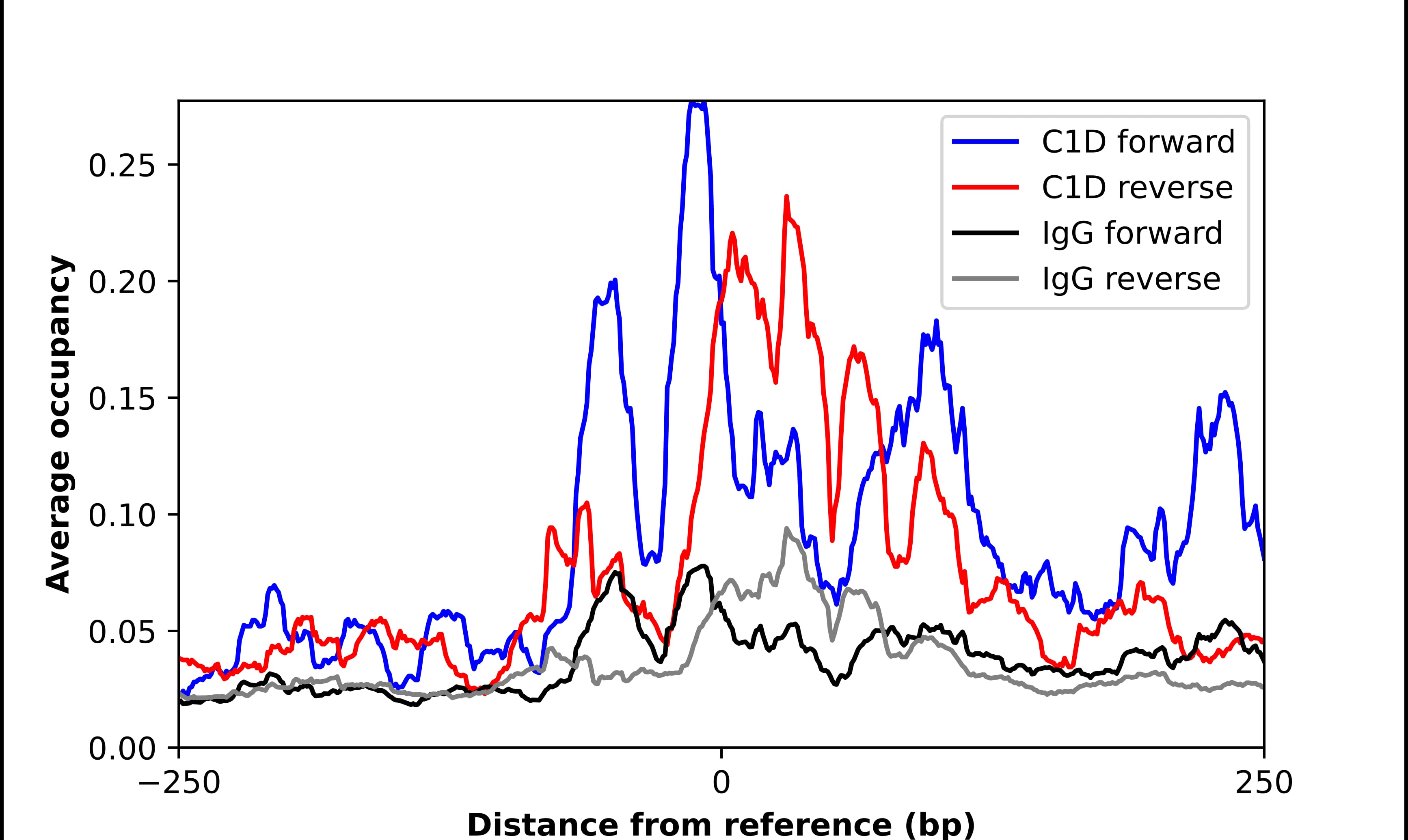 C1D Antibody - BSA Free Chromatin Immunoprecipitation ChIP: C1D Antibody - BSA Free