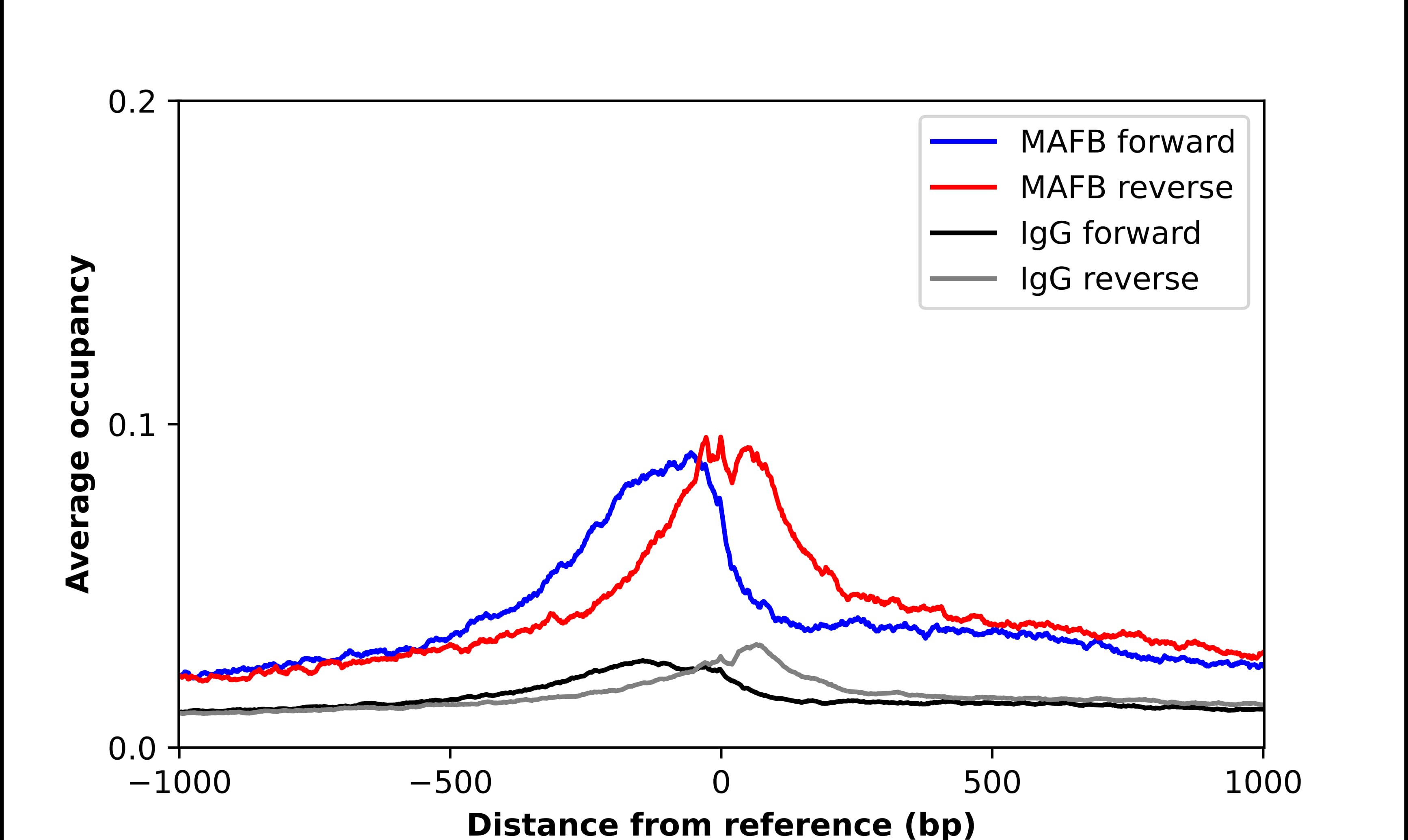 MafB Antibody - BSA Free Chromatin Immunoprecipitation-exo-Seq: MafB Antibody - BSA Free [NBP1-81342]