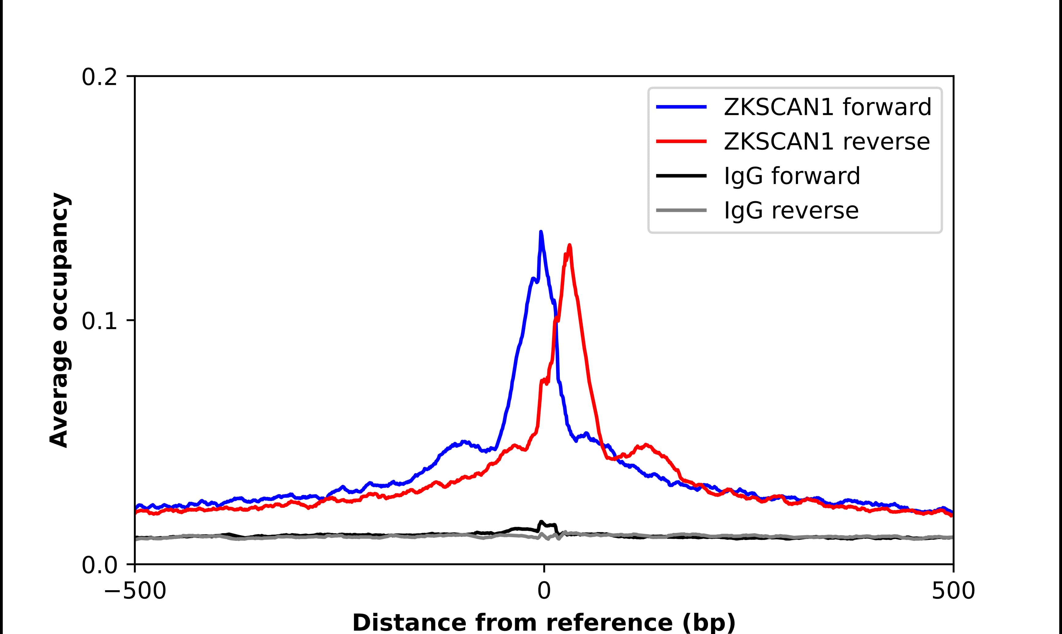 ZKSCAN1 Antibody - BSA Free Chromatin Immunoprecipitation-exo-Seq: ZKSCAN1 Antibody - BSA Free [NBP1-81346]