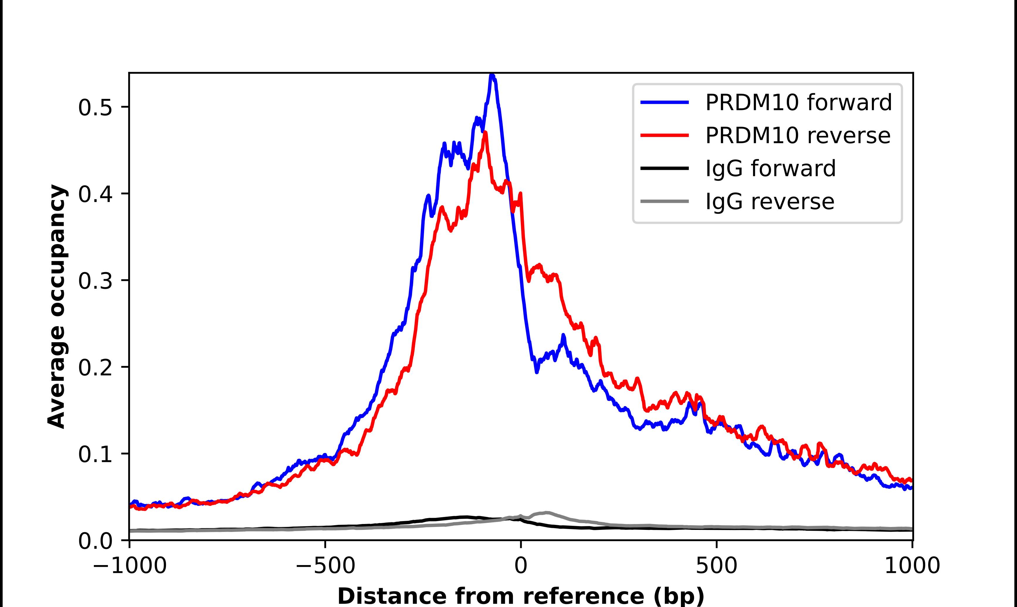 PRDM10 Antibody - BSA Free Chromatin Immunoprecipitation-exo-Seq: PRDM10 Antibody - BSA Free [NBP1-81427]