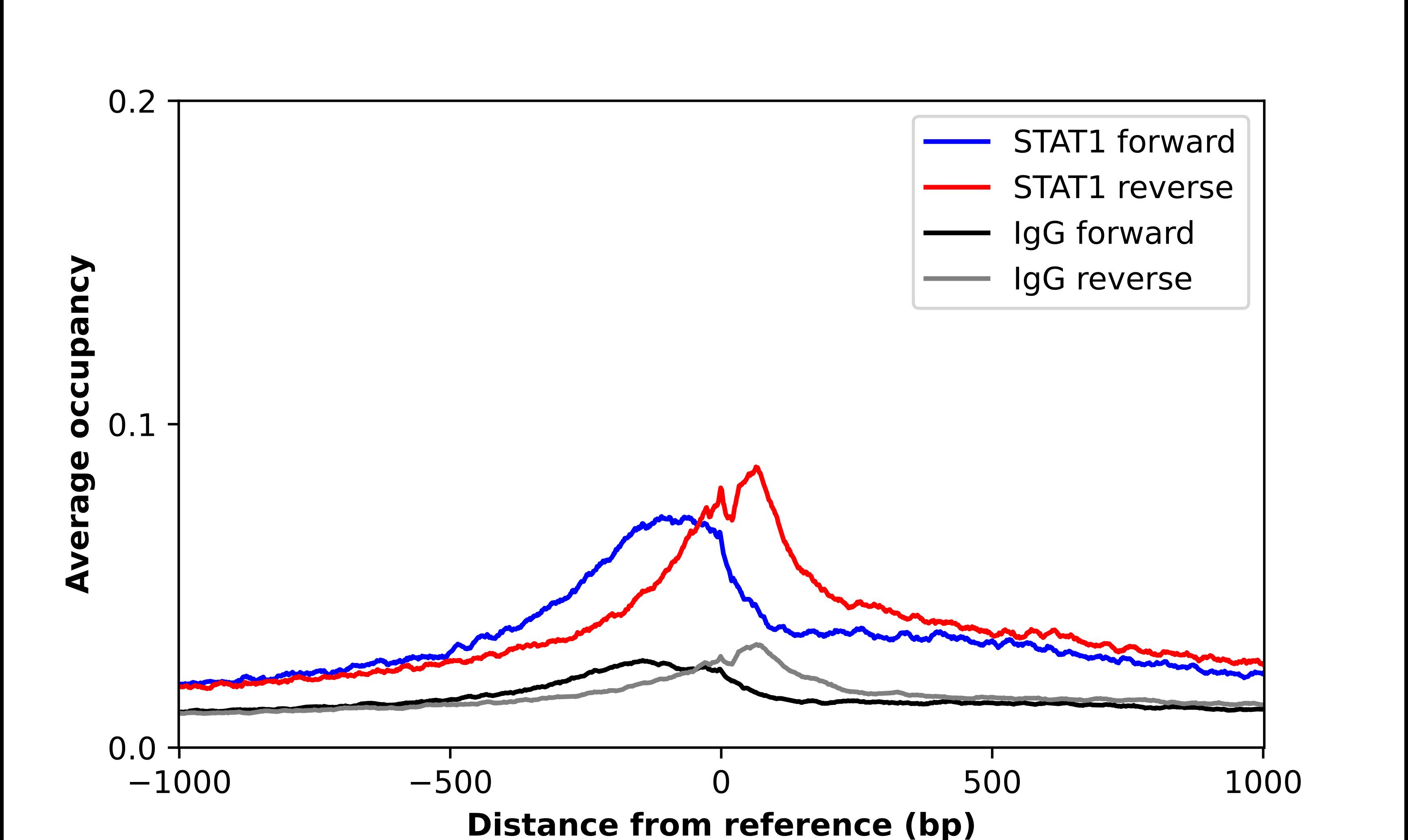 STAT1 Antibody - BSA Free Chromatin Immunoprecipitation-exo-Seq: STAT1 Antibody - BSA Free [NBP1-81578]