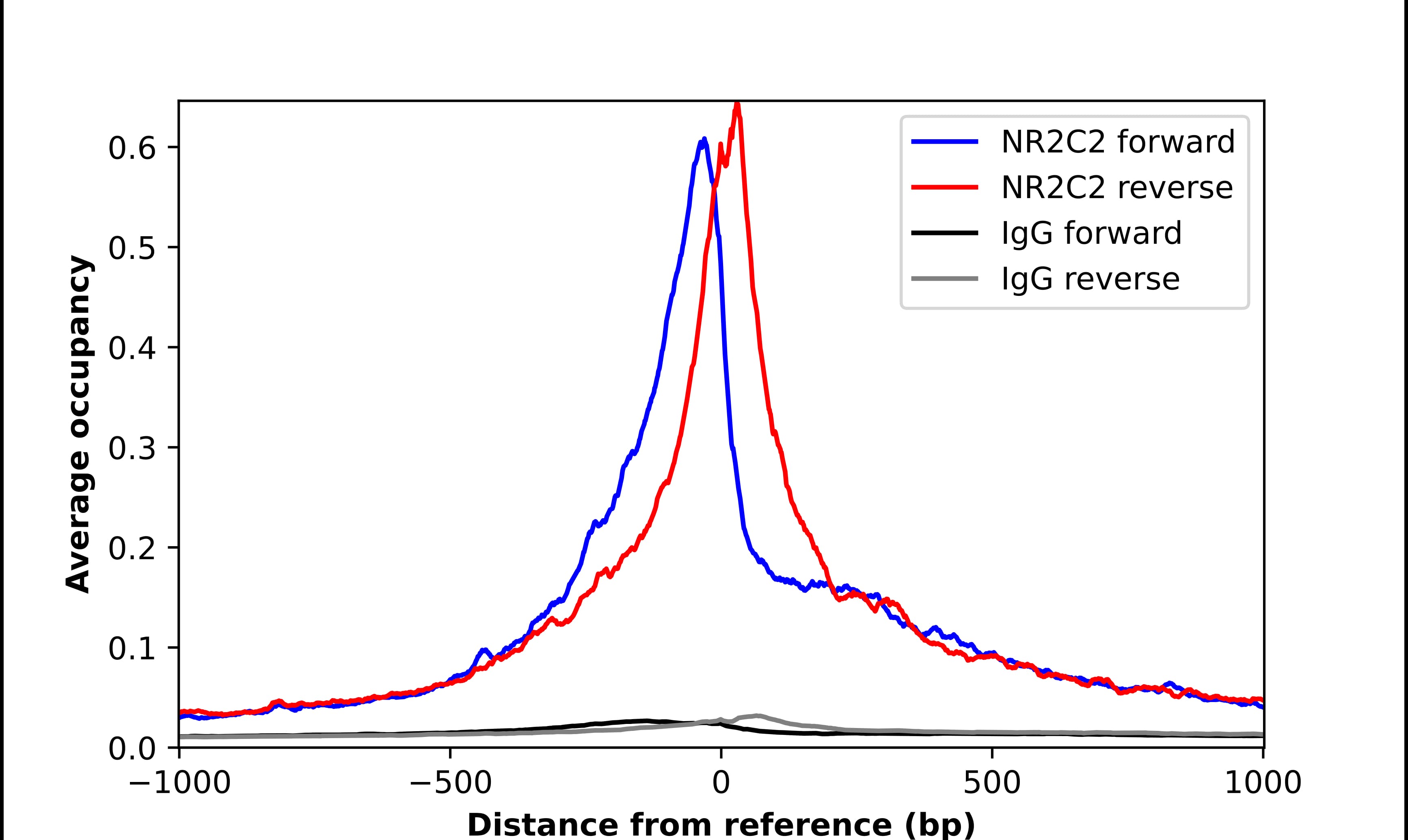 TR4/NR2C2 Antibody - BSA Free Chromatin Immunoprecipitation-exo-Seq: TR4/NR2C2 Antibody - BSA Free [NBP1-81658]