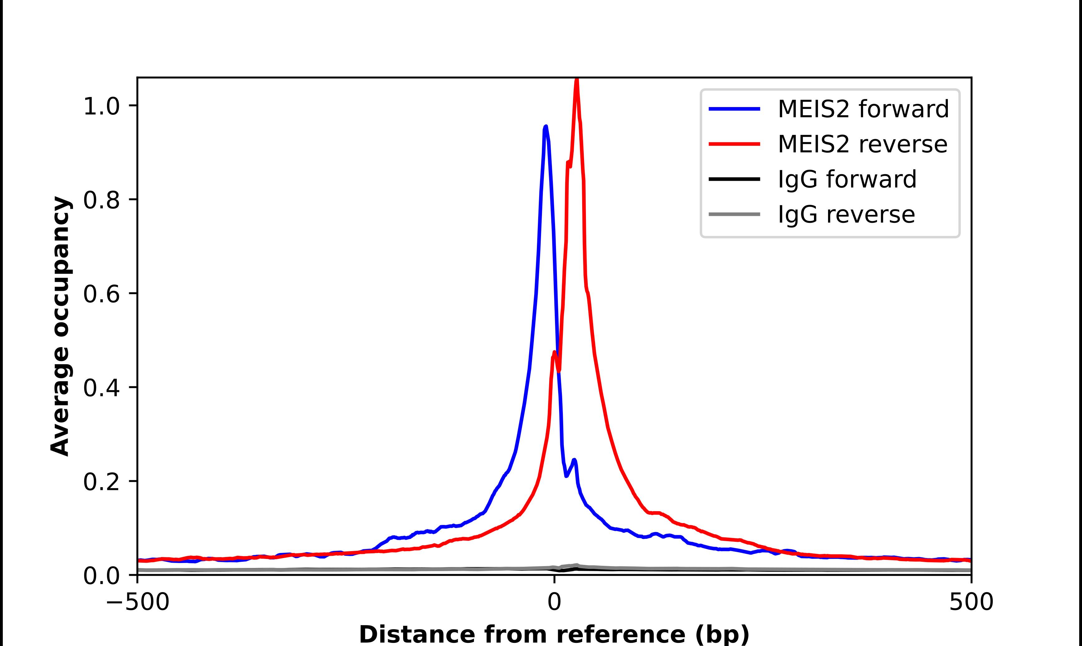 MEIS2 Antibody - BSA Free Chromatin Immunoprecipitation-exo-Seq: MEIS2 Antibody - BSA Free [NBP1-81669]