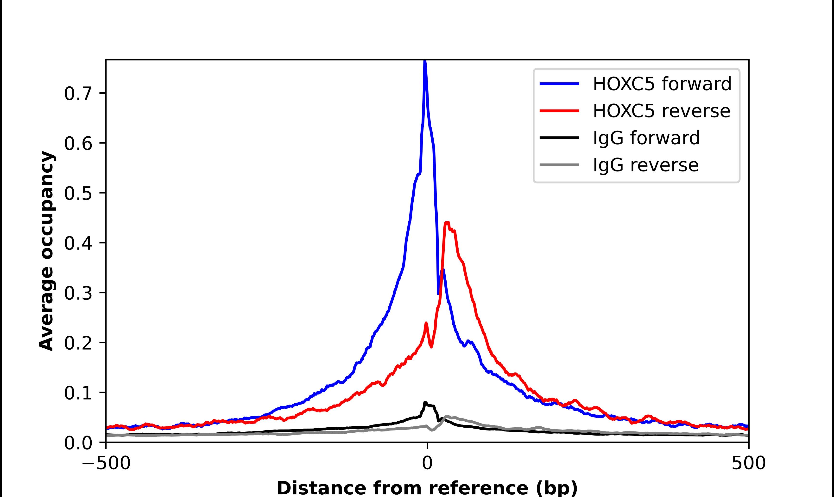 HOXC5 Antibody - BSA Free Chromatin Immunoprecipitation-exo-Seq: HOXC5 Antibody - BSA Free [NBP1-81718]
