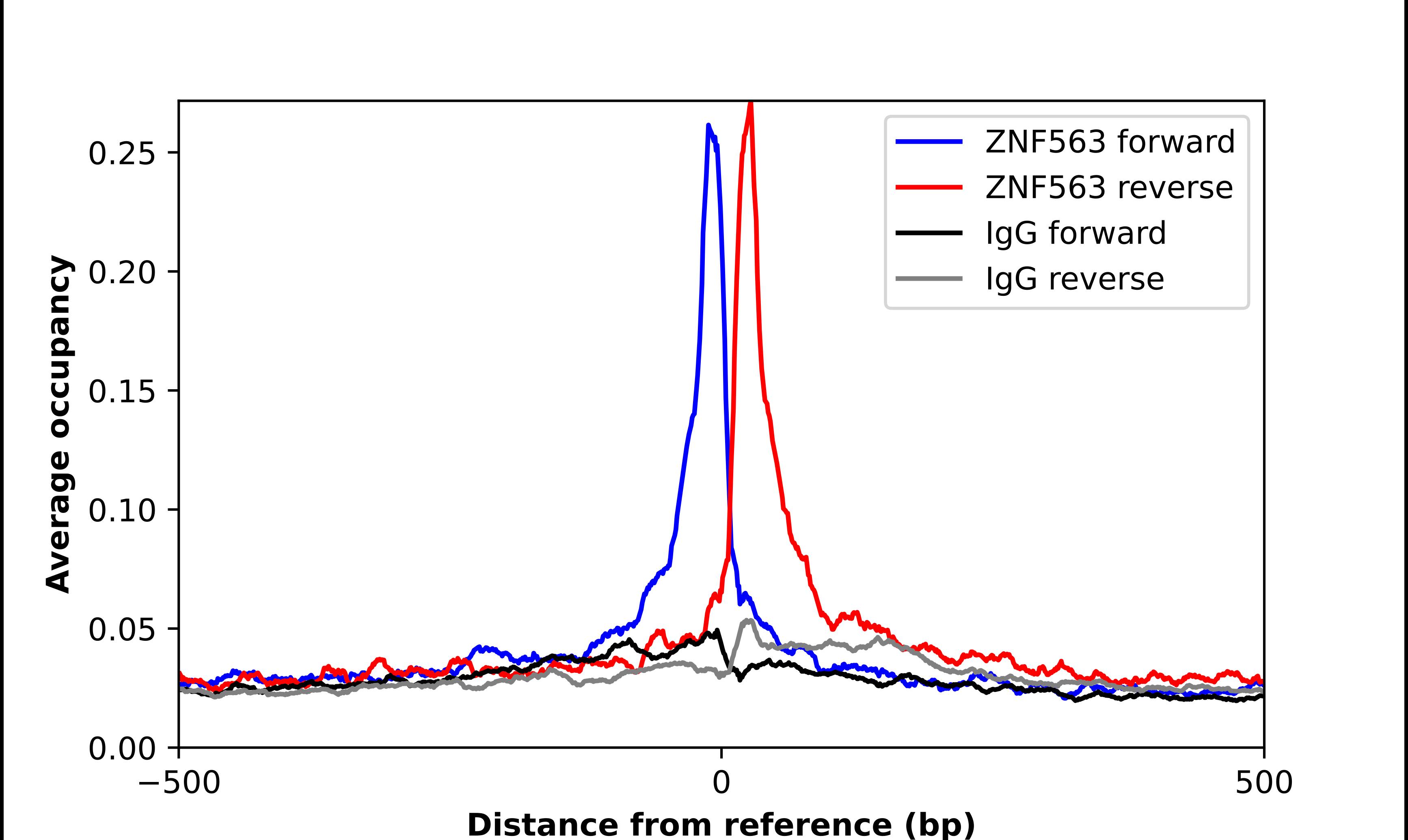 ZNF563 Antibody - BSA Free Chromatin Immunoprecipitation ChIP: ZNF563 Antibody - BSA Free